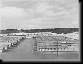 Koncentracni tabor Ravensbruck, mezi kvetnem 1939 a dubnem 1945 * 450 x 340 * (19KB)